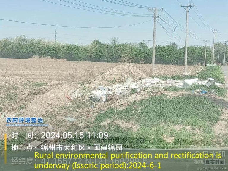 Rural environmental purification and rectification is underway (Issoric period)